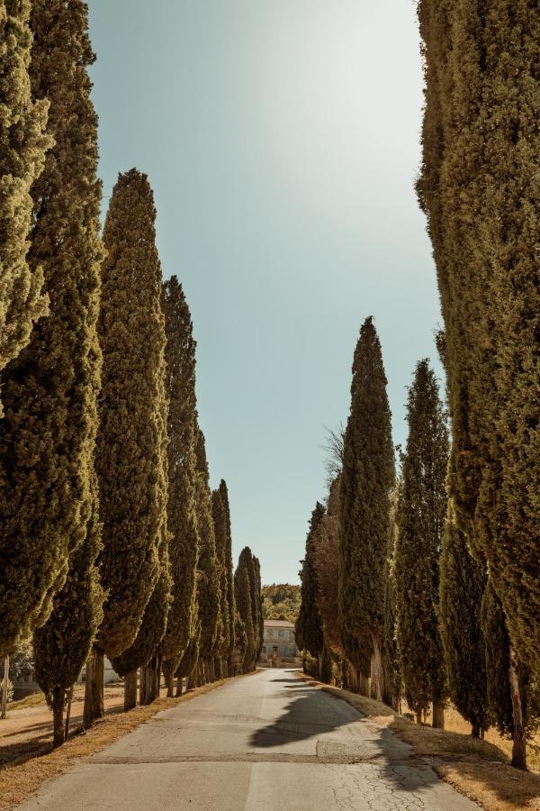 Casa Cavi Istria Βίλα Oprtalj Εξωτερικό φωτογραφία